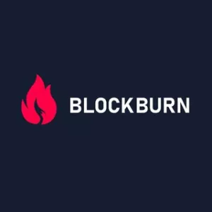 Аватар Чата BlockBurn Community
